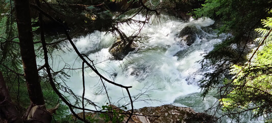 A turbulent river in the woods
