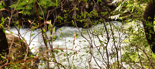 Whitewater runoff in the forest river during spring