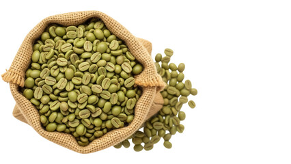 Isolated hessian sack filled with fresh green coffee beans ready for roasting and grinding