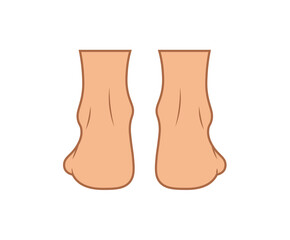 Ankle heel feet anatomy rear view. Human body skin medical health orthopedic symbol isolated on white background.