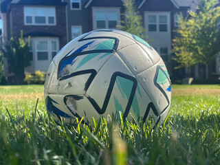 soccer ball on grass