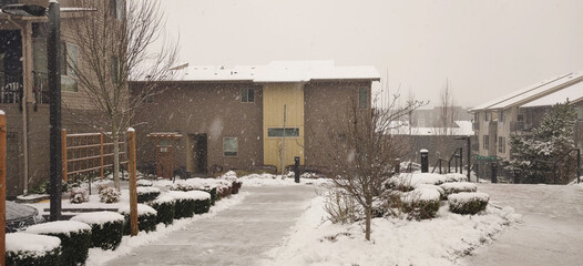 Residential sidewalk and parking lot in winter