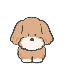 Adorable Fluffy Brown Toy Poodle Vector Cartoon Illustration Isolated On A White Background. 