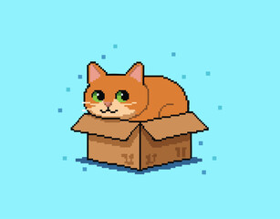 funny pixel cat in box