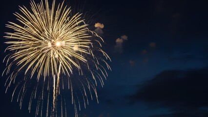 Fireworks display against dark evening sky celebration
