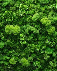 Naklejka premium Lush green moss wall texture background featuring dense natural forest vegetation.