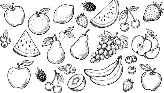 Hand drawn fruit sketch collection isolated on white background, fresh apples bananas pears berries watermelon and grapes line art illustration