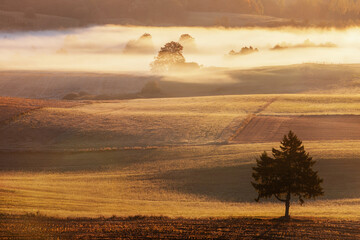 Mglisty poranek na Suwalszczyźnie.