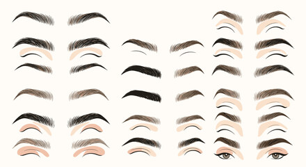 Comprehensive chart showing a variety of eyebrow shapes and styles for makeup inspiration and facial beauty enhancement.