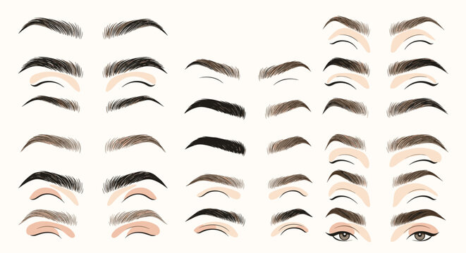 Comprehensive chart showing a variety of eyebrow shapes and styles for makeup inspiration and facial beauty enhancement. - Powered by Adobe