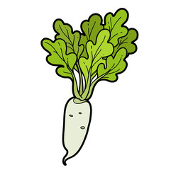 Radish root with green tops on white background