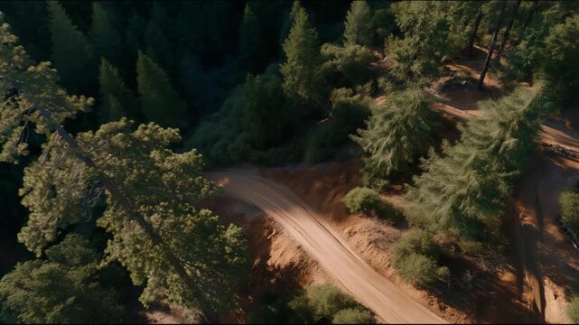 Close-up of drone feed displaying tree growth and soil health metrics while ecologists adjust replanting plans &mdash; representing AI-powered environmental analysis, remote conservation management, and