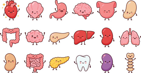 Cute human organs cartoon set, smiling anatomy characters, educational biology chart, flat vector illustration, editable, kids medical design © Creative_think