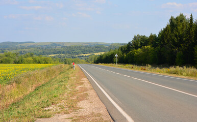 Open Road Winding Through Lush Green Fields and Distant Forests copy space