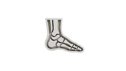 3D Foot Skeleton on transparent background