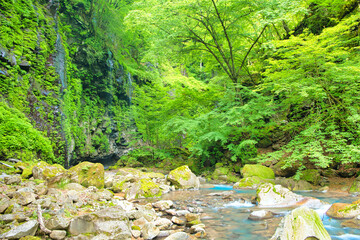 栃木県那須塩原市　青色の川が流れるスッカン沢の自然風景