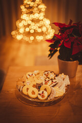 Christmas cookies close up. Christmas cookies on a glass tray. In background Christmas tree. Christmas lights. In the foreground is a red Christmas rose.