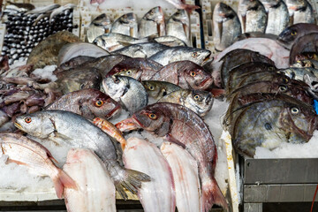 colors and flavors in a Casablanca market during a sunny day