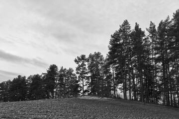 At the cultural landscape above Bilitt, Toten, Norway, December 2025.