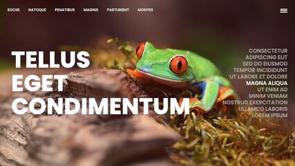 Digital Magazine Scroll Design Slideshow