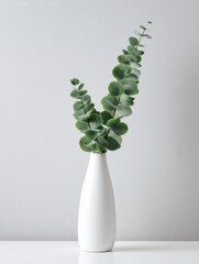 Ultra realistic vertical image of fresh eucalyptus leaves in minimalist white vase