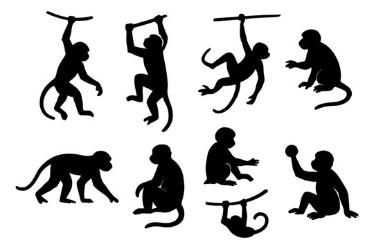 Set of monkey silhouettes in various poses on white background.