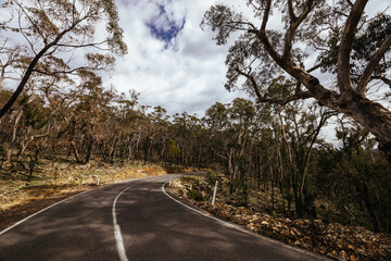 Obraz premium Bushfire Fire Damage in the Grampians