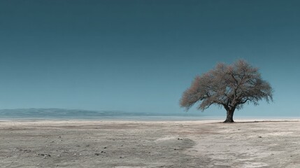 Solitary Tree in Arid Landscape: A lone tree stands defiantly in a vast, desolate landscape, its bare branches reaching toward a serene, clear sky.