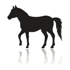 Obraz premium A black horse silhouette walking on a reflective surface