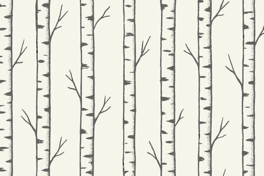 Pattern of birch tree trunks in a simple design on light background with branches showing