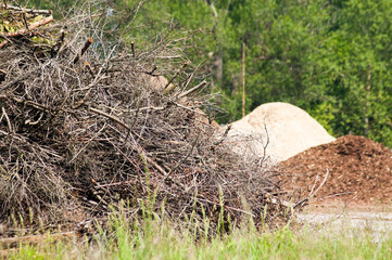 Fototapeta premium a pile of cut branches, with wood chips and green trees in the background