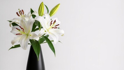 Elegant white lilies in a sleek black vase on a plain white background perfect for floral arrangements and home decor themes