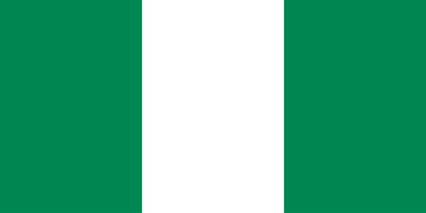 Nigeria flag icon vector illustration 