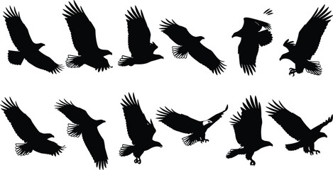 Obraz premium Eagle silhouettes, flying birds, bald eagle icons, soaring wings, landing poses, wildlife art, raptor illustration, freedom symbol, nature graphics, flight motion
