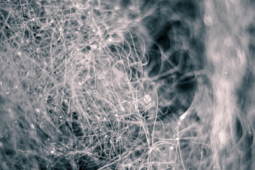 Detailed macro shot of a seaside fishing net with many small water beads