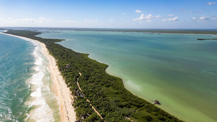 Sian Kaan Biosphere Mexico Beautiful beach with a green forest in the background. The water is calm and the sky is clear