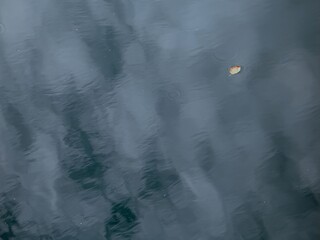 Single floating leaf on river surface with soft sky mirror