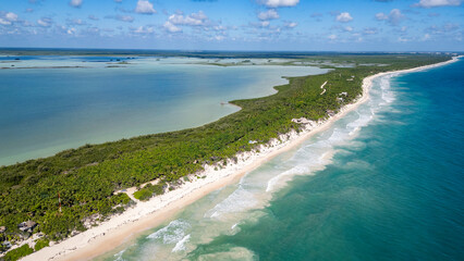 Sian Kaan Biosphere Mexico Beautiful beach with a clear blue ocean and a lush green forest. The beach is lined with palm trees and the water is calm