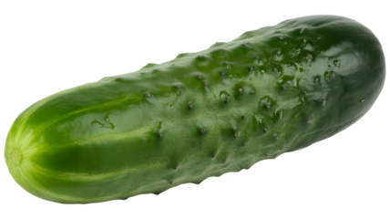 Fresh green cucumber with bumps and texture isolated on high resolution photograph on a transparent background PNG