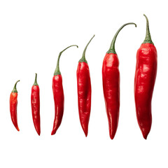 PNG of A vibrant display of red chili peppers in varying sizes.