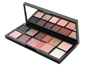 Professional Makeup Palette with Various Eyeshadow Shades and Blush.