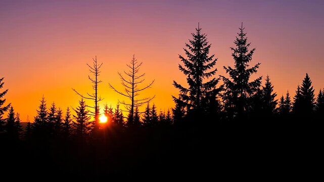 A serene sunset behind silhouetted pine trees in a tranquil landscape.