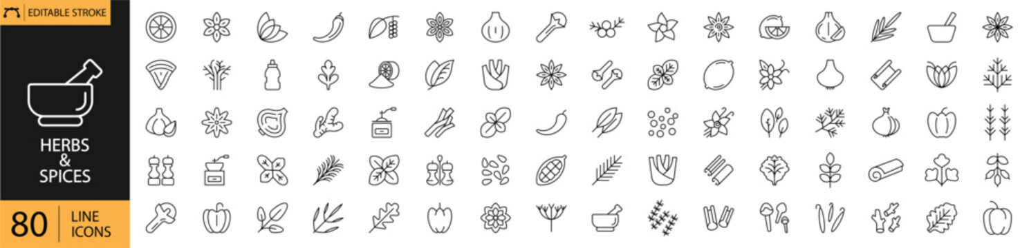 Herbs and Spices Icons Set Including Basil, Chili, Pepper, Cinnamon, Ginger, Garlic, Onion and Chili