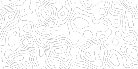 Contour abstract map relief land outline. Topographic map patterns. White wave paper curved reliefs abstract background. Background of the topography map. Abstract pattern with lines. © armans