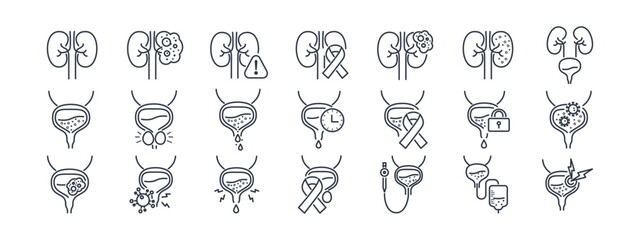 Urology icon set featuring kidney disease, bladder conditions, and prostate health symbols in clean line style for medical websites and healthcare applications. Vector. Editable stroke