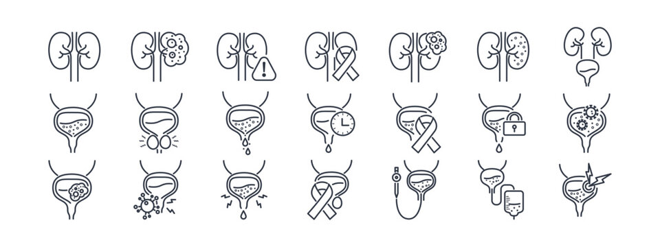 Urology icon set featuring kidney disease, bladder conditions, and prostate health symbols in clean line style for medical websites and healthcare applications. Vector. Editable stroke