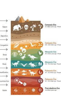 Geological Timeline