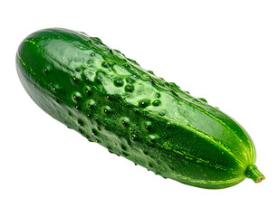 A single fresh green cucumber with bumps on a white background.