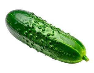 A single fresh green cucumber with bumps on a white background.
