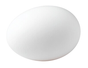 A Simple White Circle on a White Background.